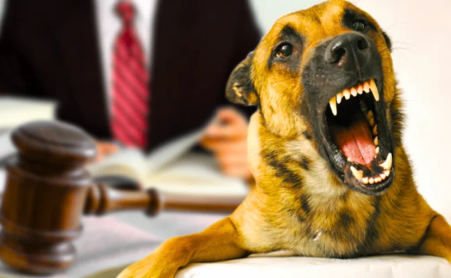 Dog Bite Law